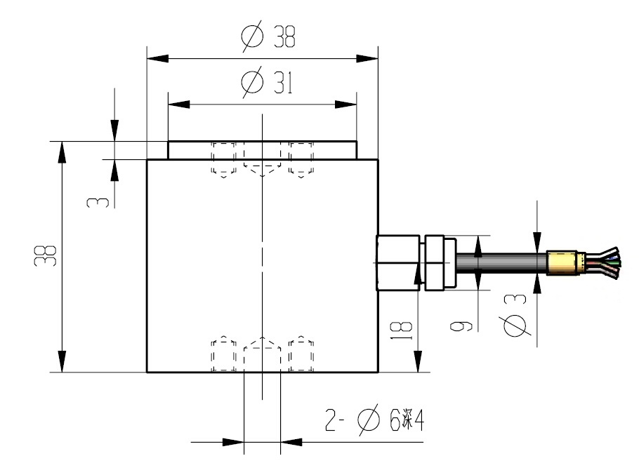ZLY02.jpg